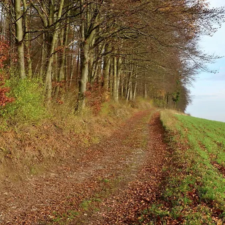 Apartment Cozy In L Wensen Lower Saxony With Private Terrace *